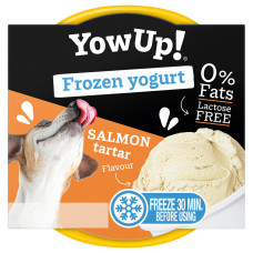 Iogurte Congelado de Salmão para Cão - YowUp!